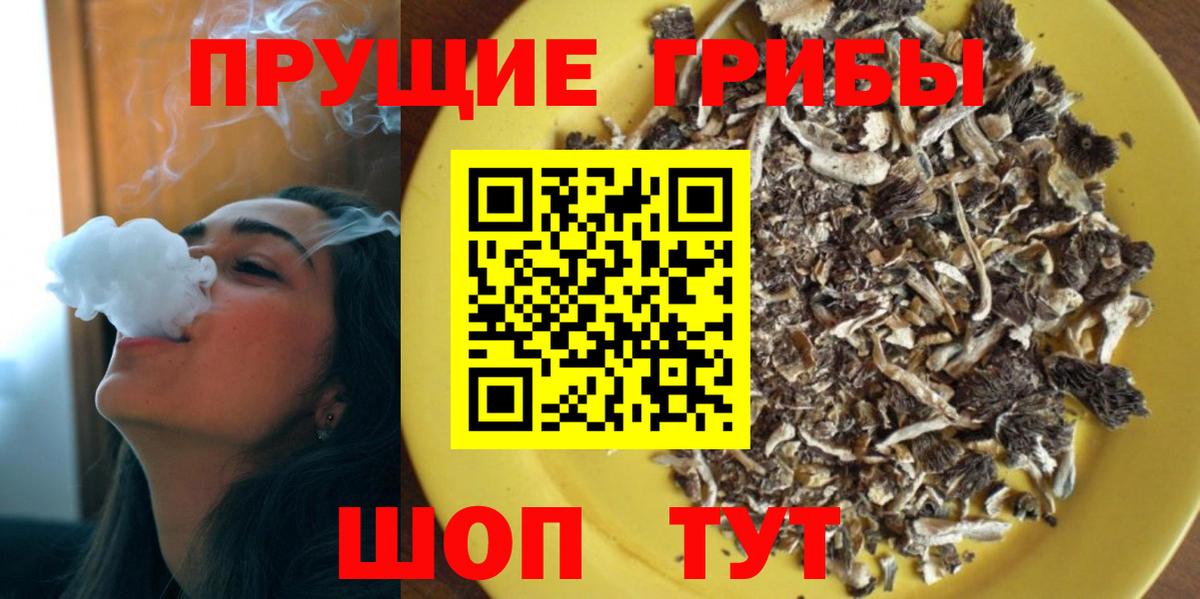 Псилоцибиновые грибы Psilocybine cubensis  Вход с VPN  Ефремов 